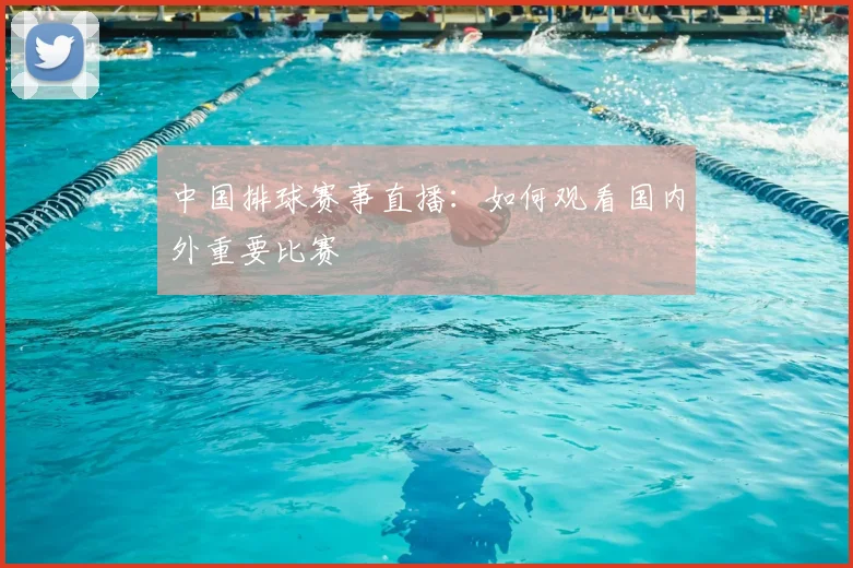 中国排球赛事直播:如何观看国内外重要比赛