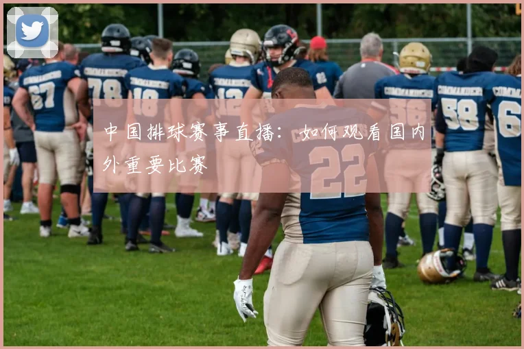 中国排球赛事直播:如何观看国内外重要比赛